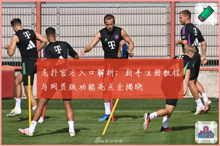 虎扑官方入口解析：新手注册教程与网页版功能亮点全揭晓