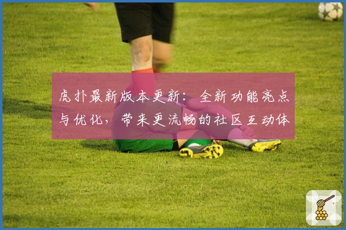 虎扑最新版本更新：全新功能亮点与优化，带来更流畅的社区互动体验