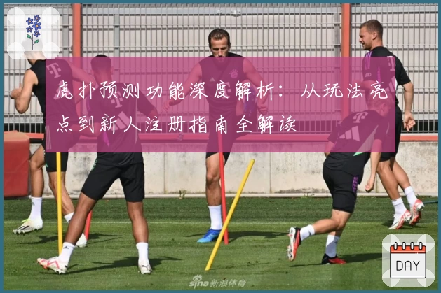 虎扑预测功能深度解析：从玩法亮点到新人注册指南全解读